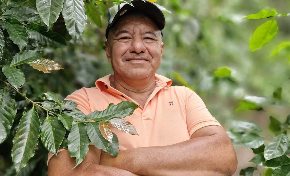 Joaquin Meza Aldi case study main image