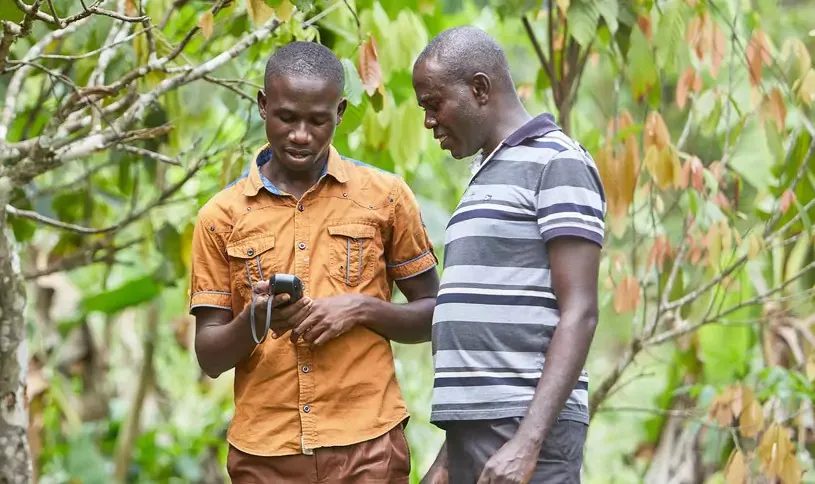 Two men standing in a plantation and looking at a electronic device