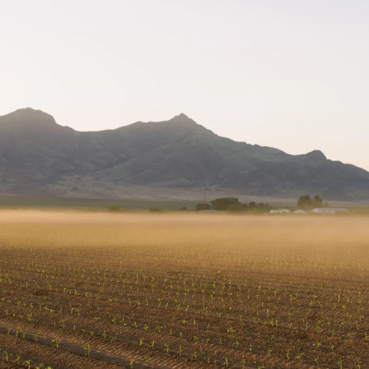 Spices landing - sustainability