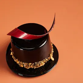 professionals cocoa