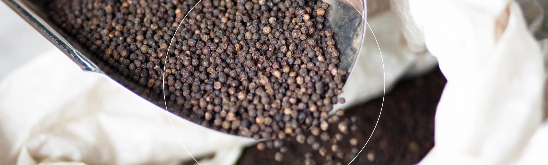 Pepper header image
