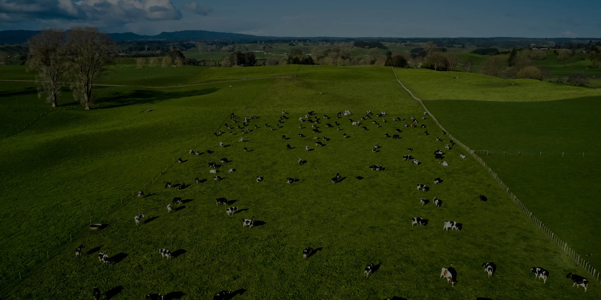 Sustainability in Dairy - Stats