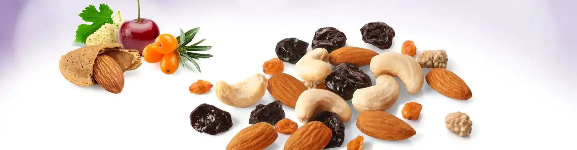 Nuts and berries header banner