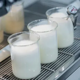 Innovation in Dairy - Health nutrition and wellbeing