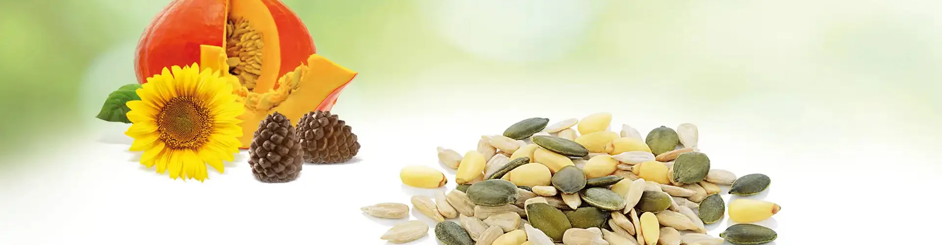 Marshimport - Seed Variety header image media asset