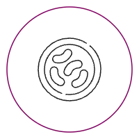 Whole and pieces (Nuts) icon SVG