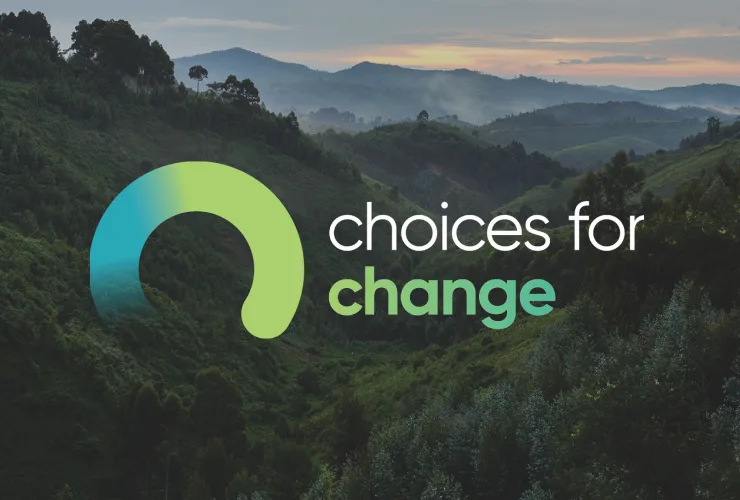 Choices for change image
