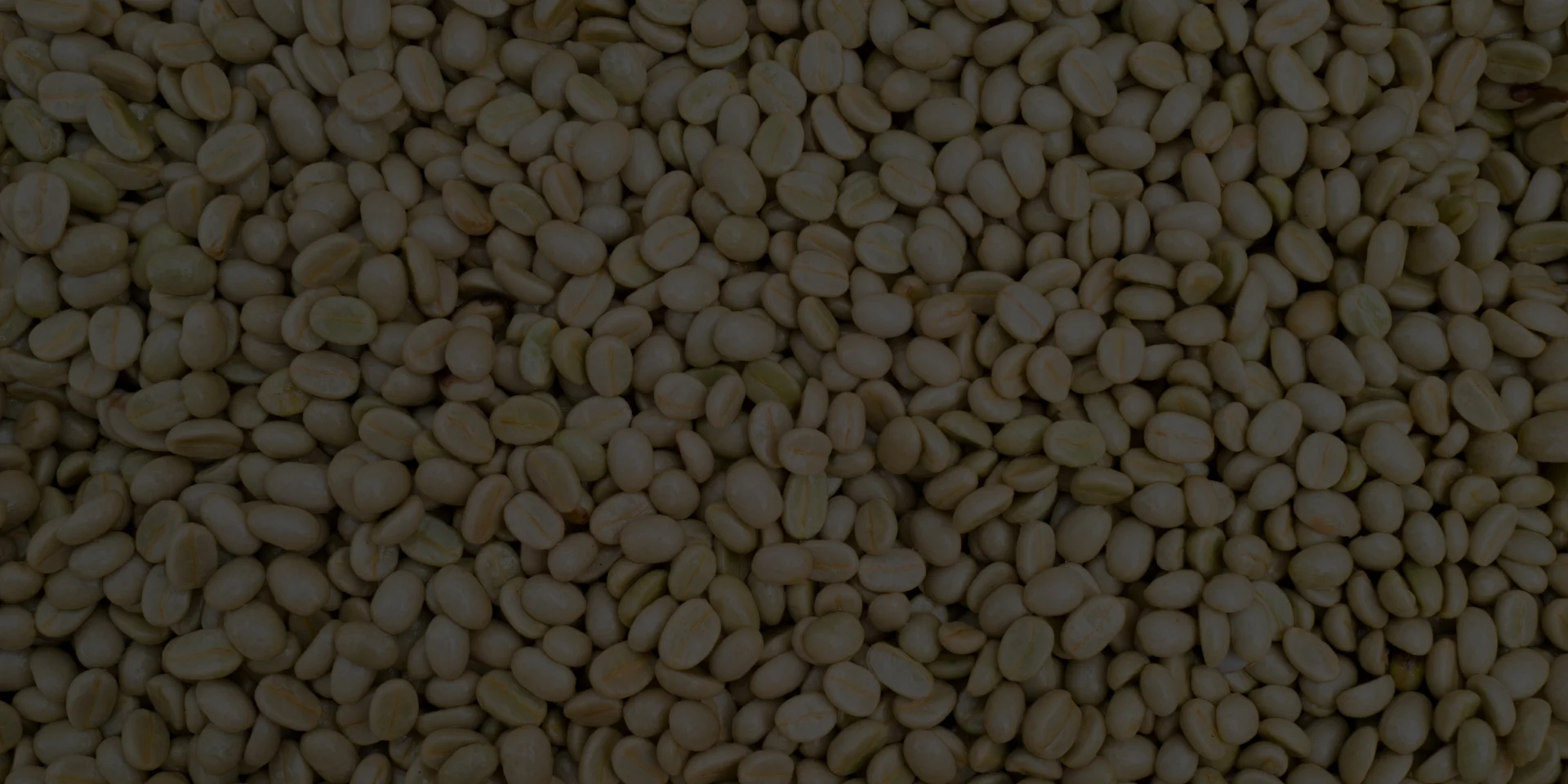 PLP - Green coffee Statistics background image media asset