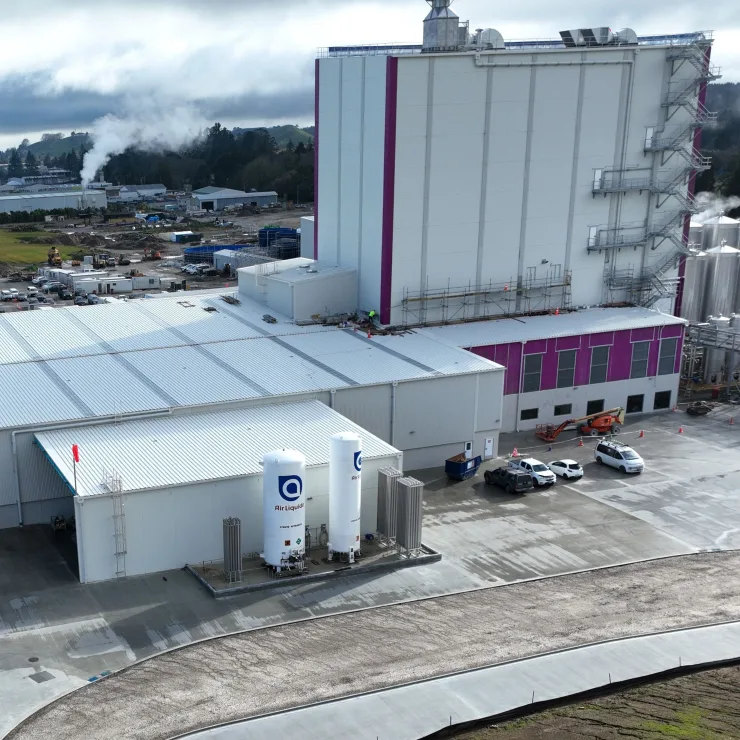 Dairy Supply Chain