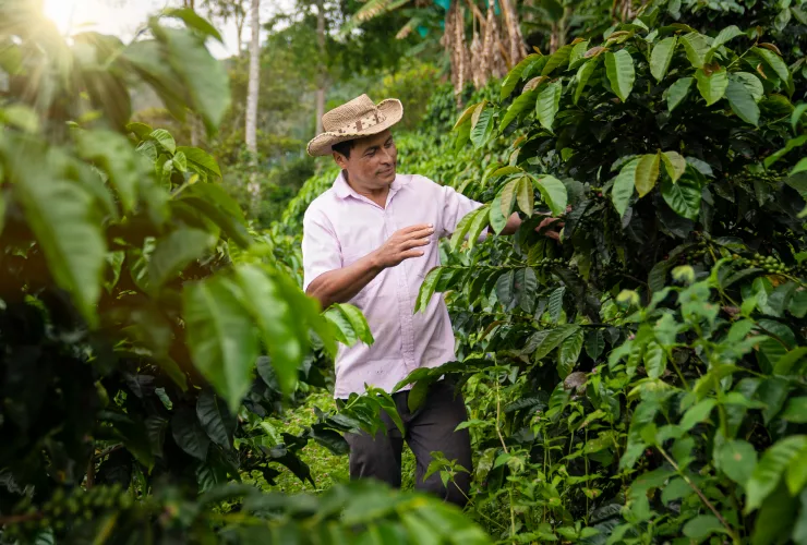 General sustainability impact areas card 1 image prosperous farmers media asset