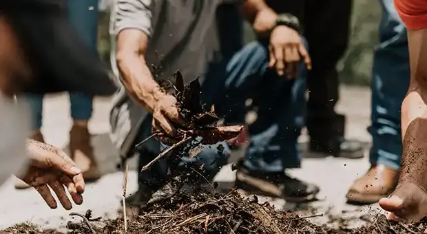 Close up image of workers going through soil