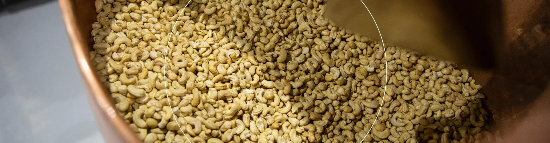 4 Finance for Sustainability - Header