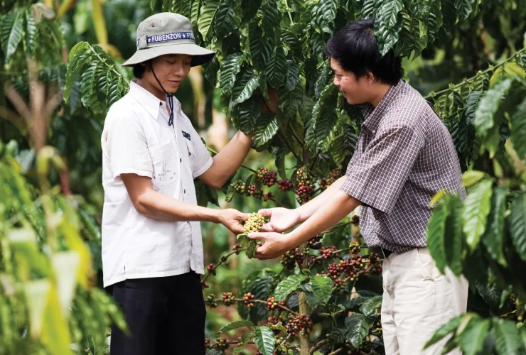 PDP - Green Coffee - Africa - other products card 1 Asia image media asset