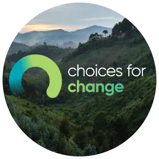 About ofi - Timeline - 2024