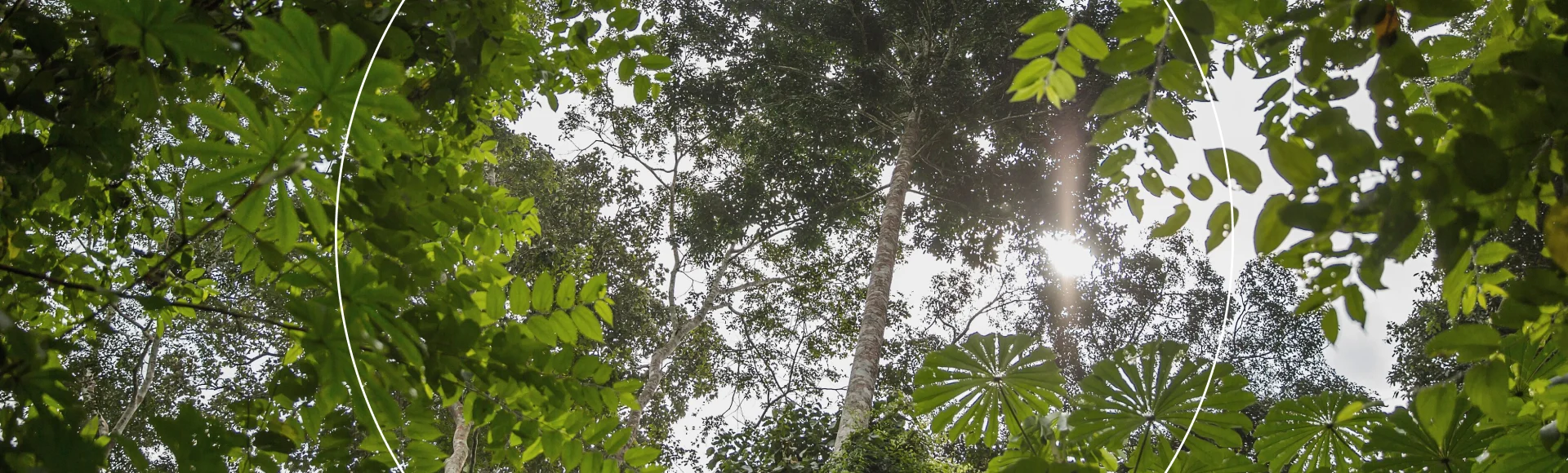 About odi - globale footprint