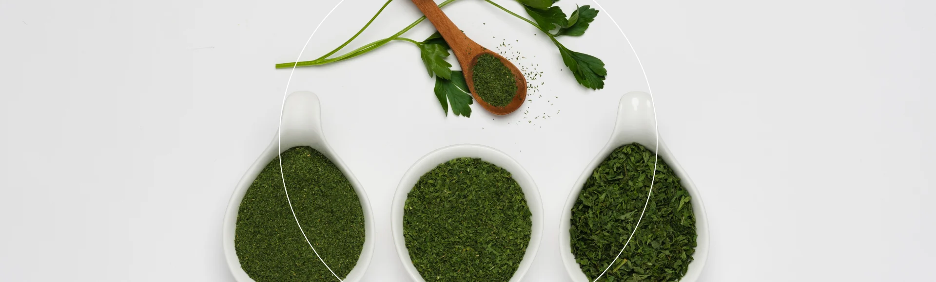 Herbs Header Banner