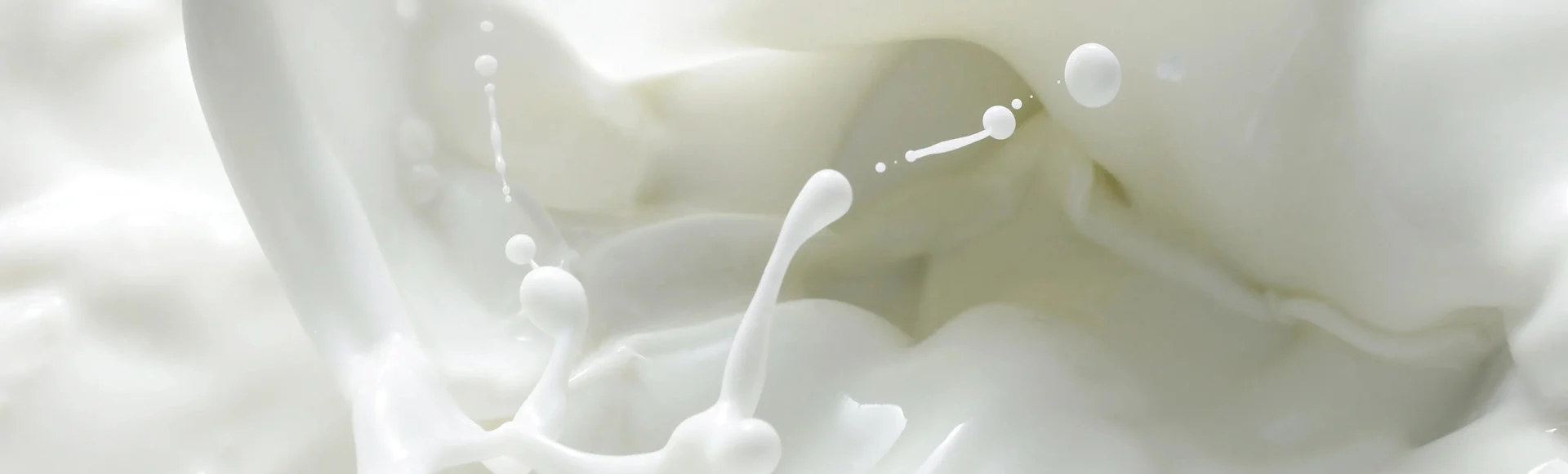 milk-splash banner