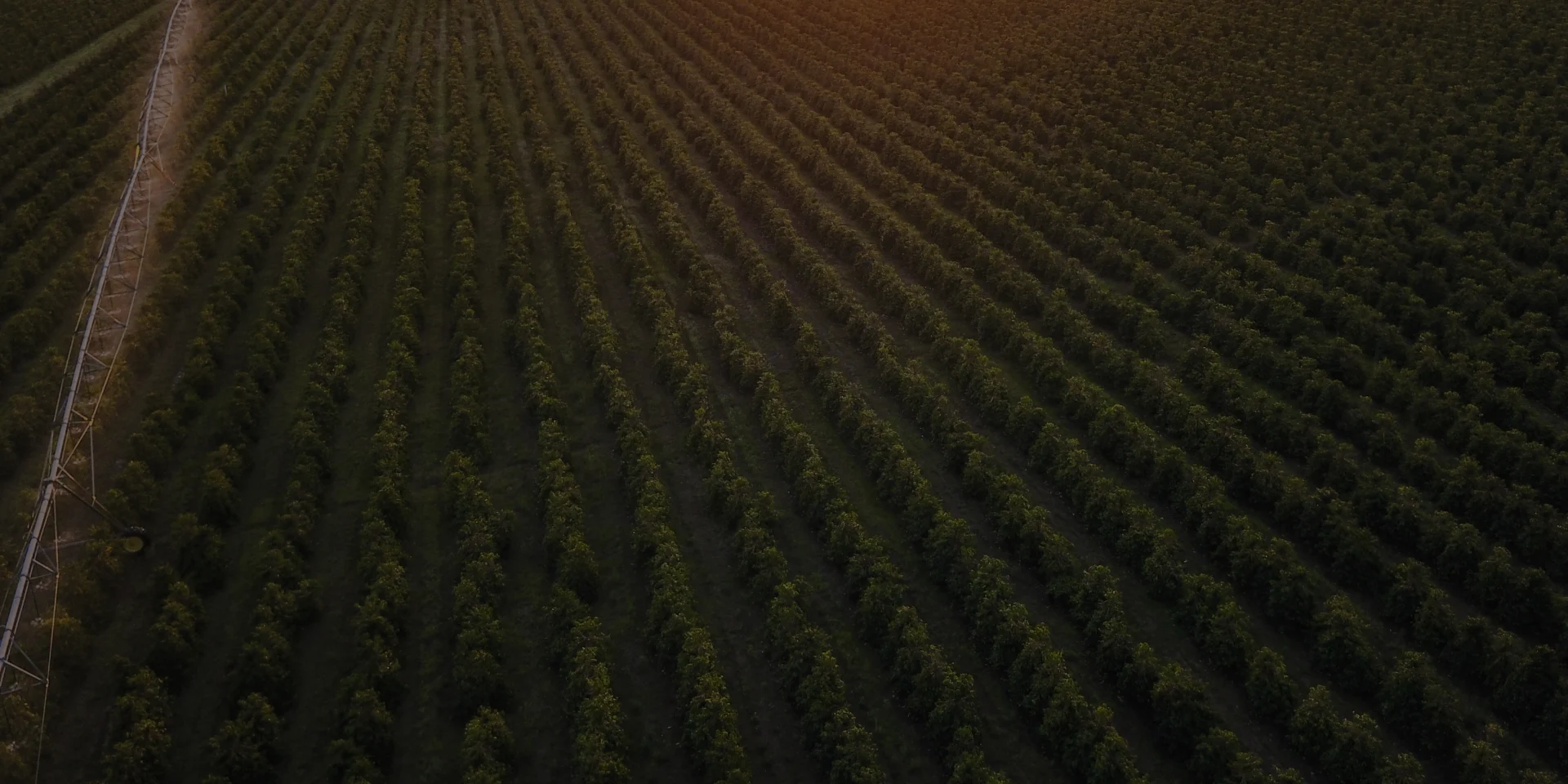 Sustainability Reporting - Stats