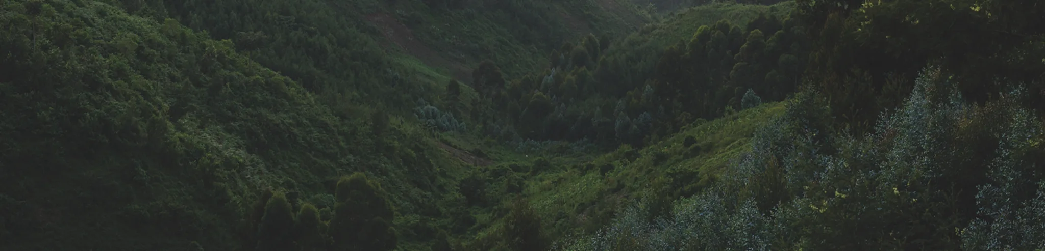 Co-create-newsletter1-DK