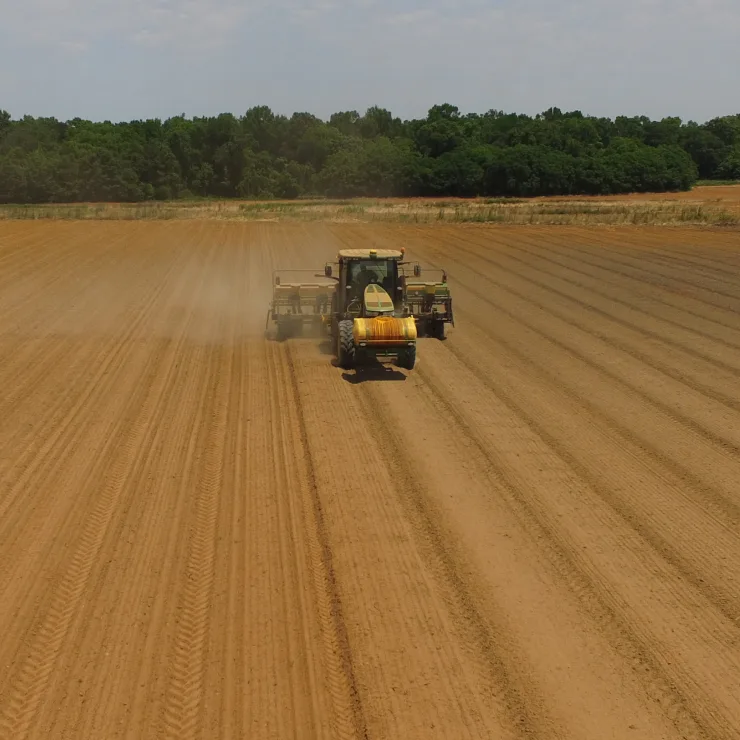 Peanuts Supply Chain
