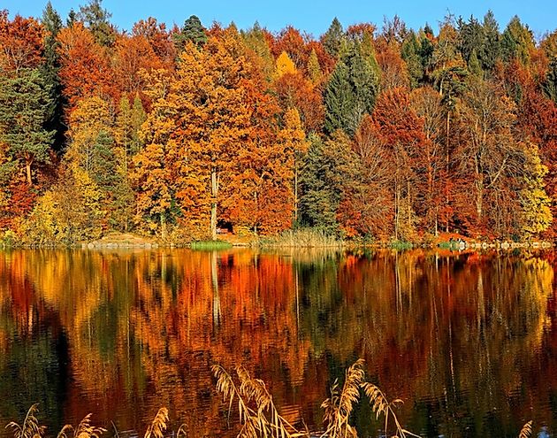 The Ultimate List of Fall Activities