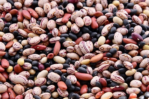 The World’s Best Baked Beans