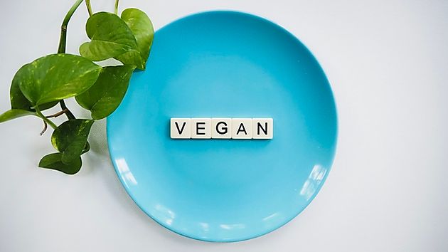The Best Vegan Recipes on Pinterest