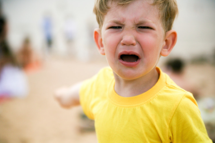 Emotionally Disturbed Students At >> How To Help A Child Diagnosed With Emotional Disturbance Noodle Emotionally Disturbed Students At >> How To Help A Child Diagnosed With Emotional Disturbance Noodle