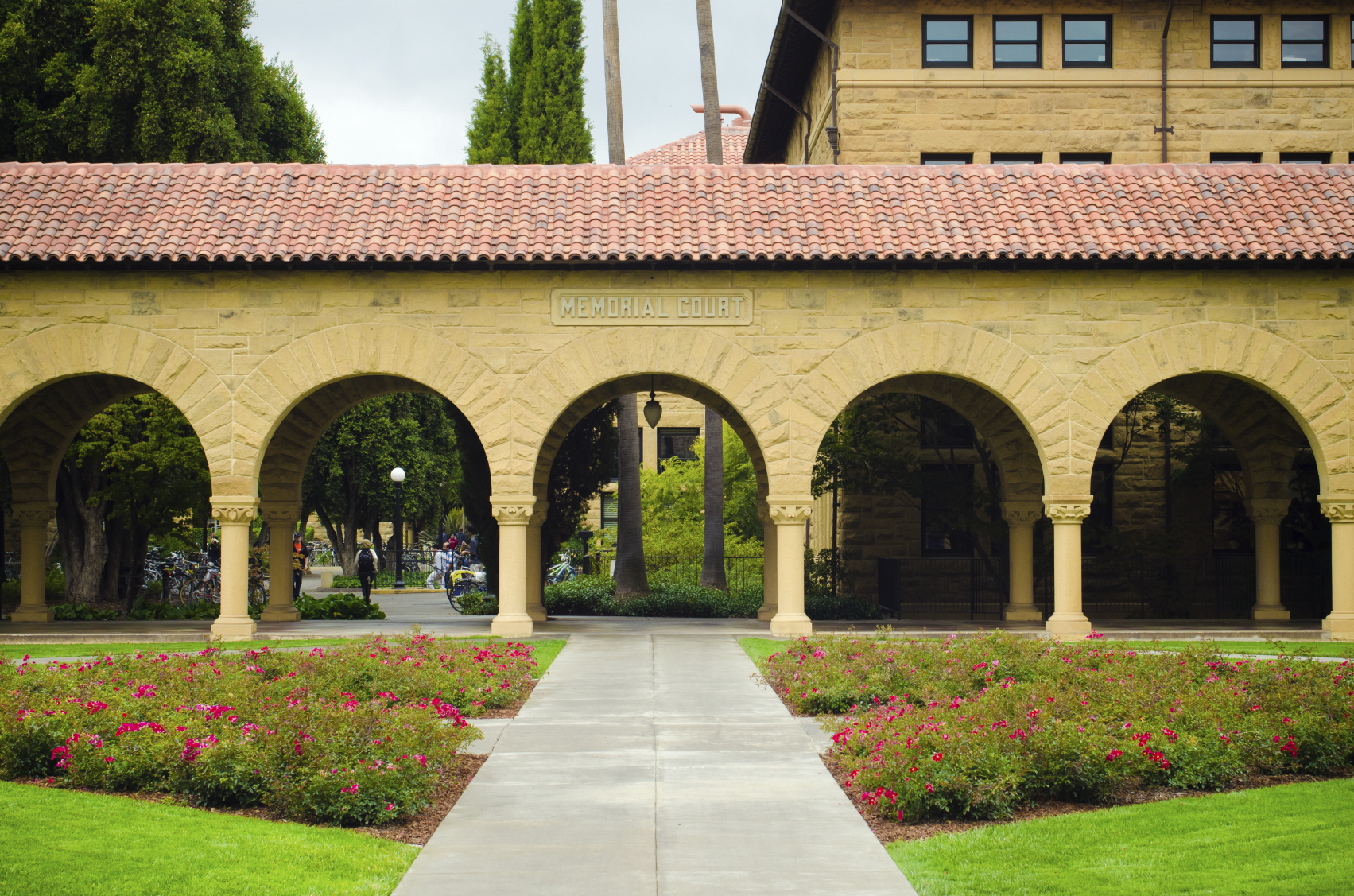 Why I Dropped Out of Stanford — And 4 Ways to Know Whether College Should Be Your Plan B