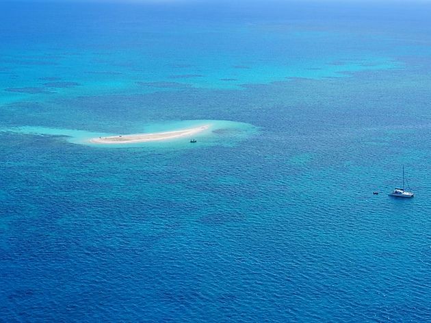 What’s Happening with The Great Barrier Reef?