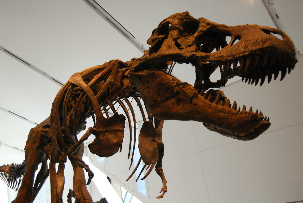 7 Museums to Make Your Kids Fall In Love With Science