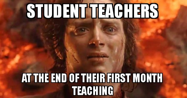 Best Student Teaching Memes