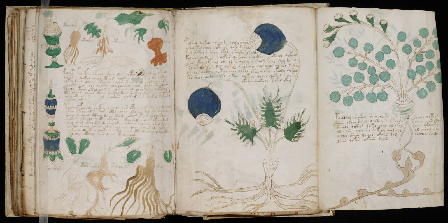 voynich manuscript book