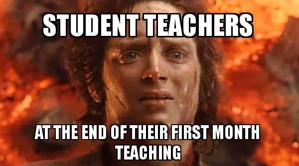 Best Student Teaching Memes   Student Teachers At 