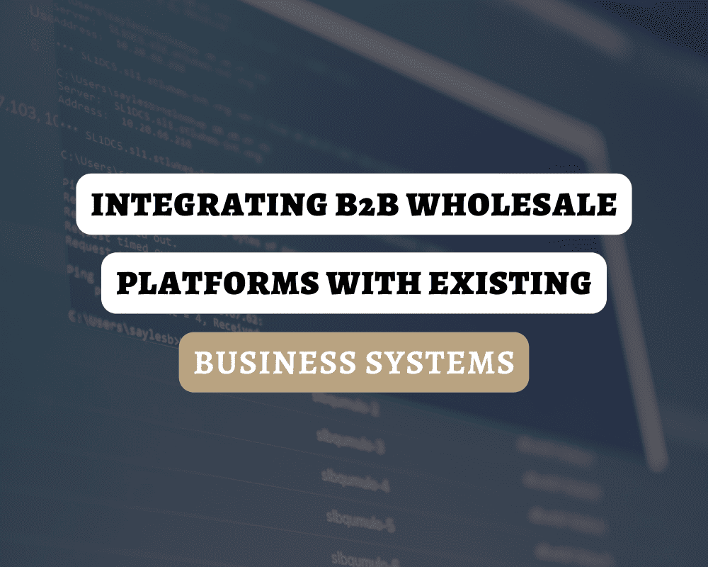 Integrating B2B Wholesale Platforms with Existing Business Systems