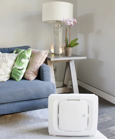 HEPA Air Cleaner with Triple Filtration in a living room