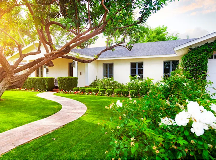 Infopod - Landscaping - Image