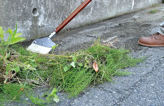 backyard maintenance in preparation for a generator