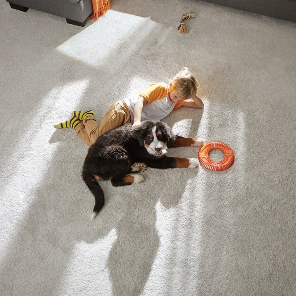 Carpet Installation - National Page - Control - Related Service
