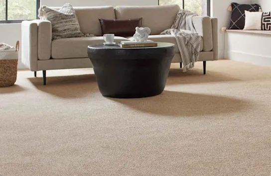 Carpeted living room