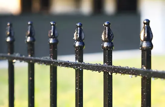Wrought iron fencing