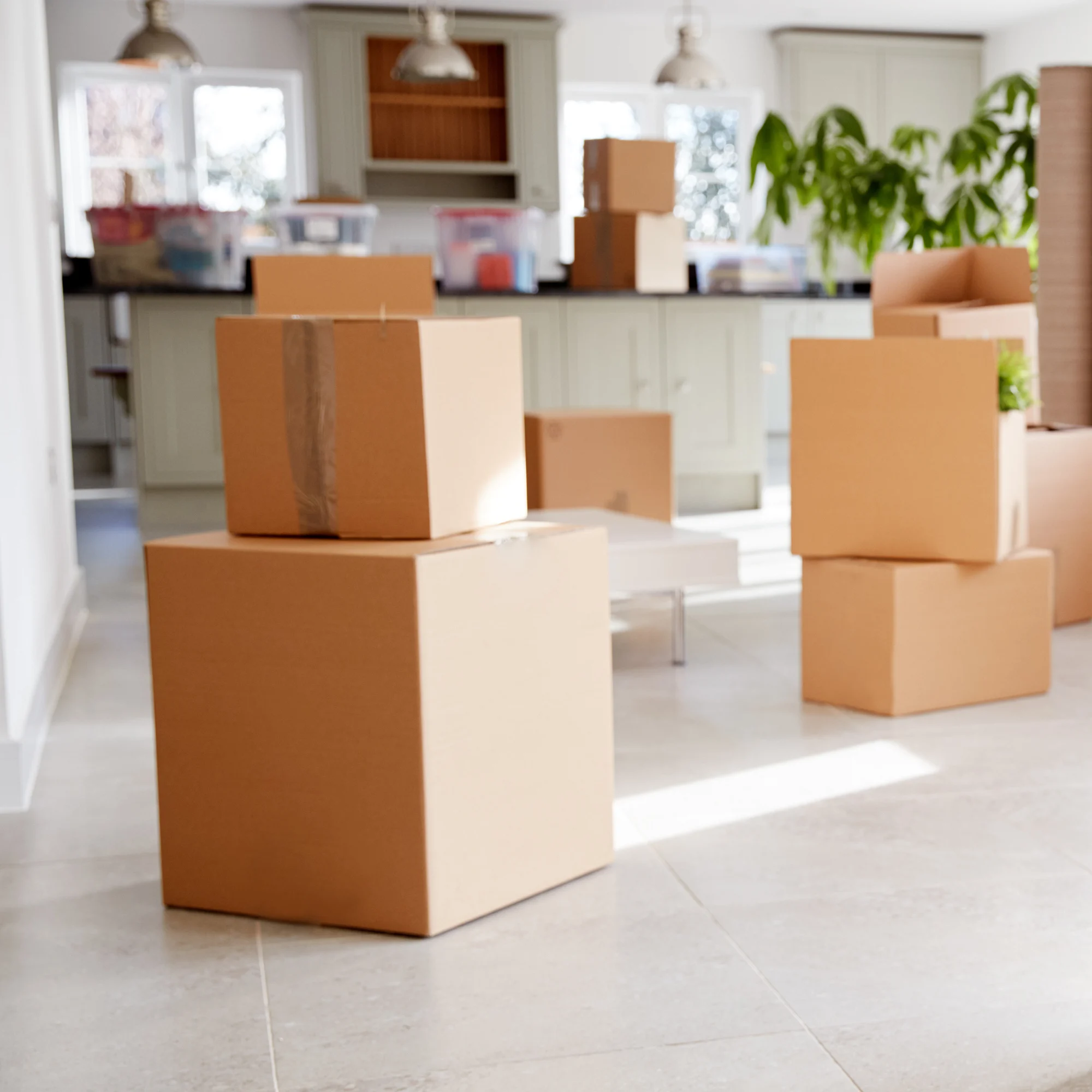 Move-Out Cleaning