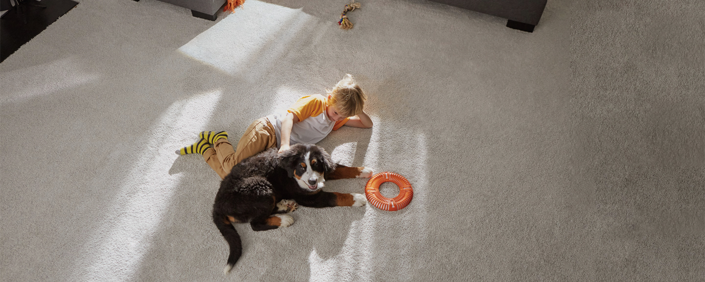 new carpet installation