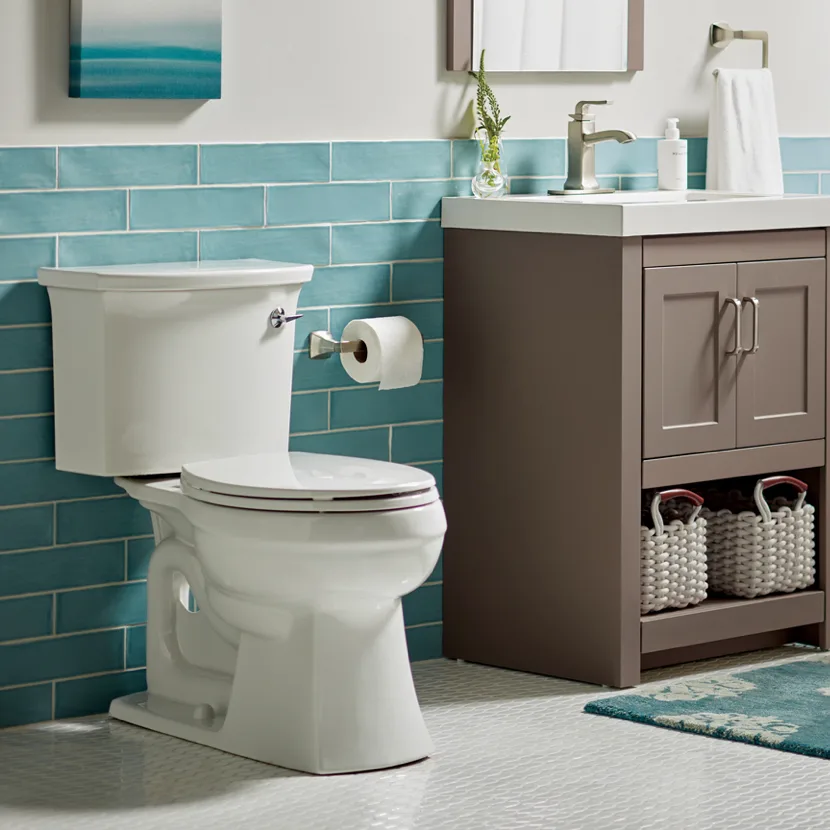 Toilet Installation