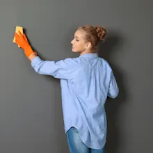 Ceiling and Wall Cleaning