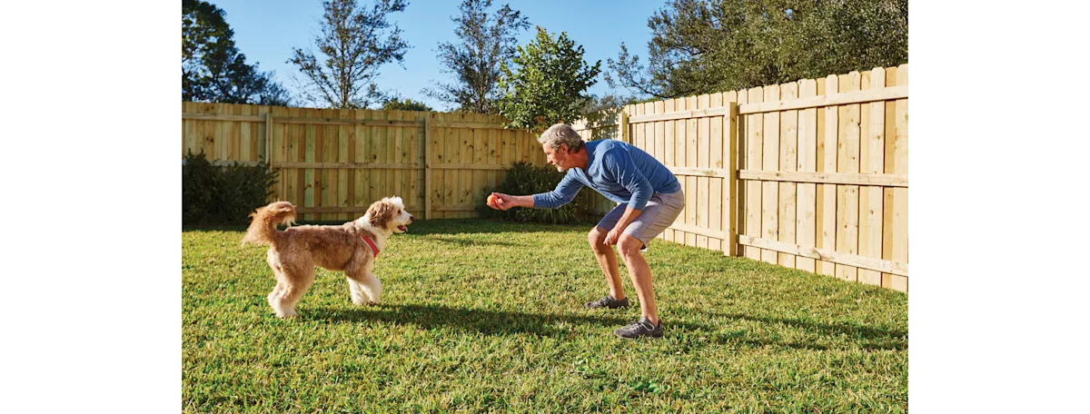 A man playing catch with his dog in his fenced in backyard