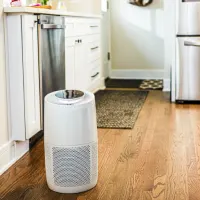 Filtered Medium White Air Purifier; Orange checklist icon