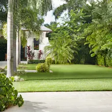 Sod Installation Services