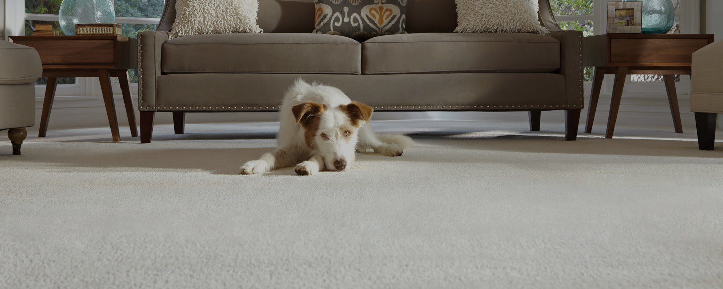 Carpet Installation Replacement At The Home Depot