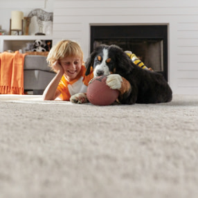 Carpet Installation Replacement At The Home Depot Choosing Carpet Padding